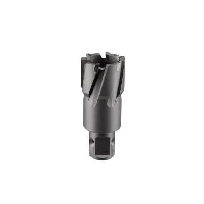 Сверло корончатое твердосплавное ALTECO TCT 16х35 82772