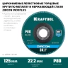 Круги лепестковые циркониевые торцевые 36594-125-80 купить в Челябинске