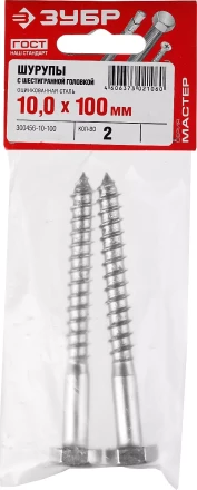 Шурупы ЗУБР &quot;МАСТЕР&quot; с шестигранной головкой, оцинкованные, 10x100мм, 2шт 300456-10-100 купить в Челябинске