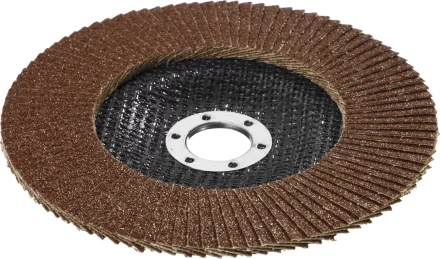 Круг шлифовальный STAYER "PROFI" лепестковый торцевой, зерно-электрокорунд нормальный, тип КЛТ 1, P60, 125х22,2мм 36581-125-060 купить в Челябинске