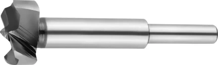 Сверло Форстнера по дереву, URAGAN 29995-25, d=25мм 29995-25 купить в Челябинске