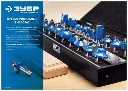 ЗУБР 12 шт, набор профильных фрез по дереву, Профессионал (28796-H12) купить в Челябинске