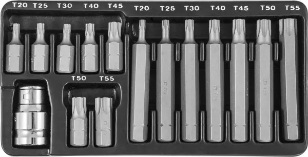 Набор вставок-бит 30 и 75 мм Torx T20-T55 15 предметов S29Н4215 S Jonnesway 47397 купить в Челябинске