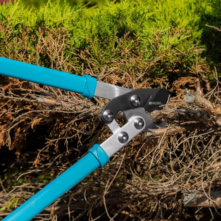 Сучкорез прямого реза Palisad 60597, 750 мм, двухрычажный механизм, двухкомпонентные рукоятки, LUXE купить в Челябинске