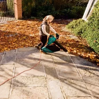 Воздуходувка-пылесос BOSCH ALS 30 W/EEU электрическая купить в Челябинске