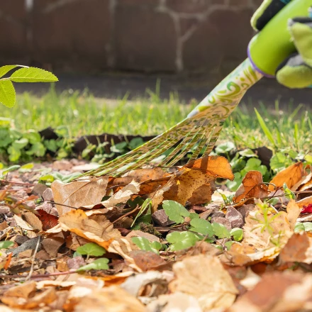 Грабли веерные 9 - зубые Palisad, 130 х 415 мм, стальные, пластиковая рукоятка, Flower Green, 620425 купить в Челябинске