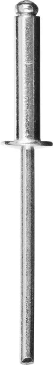 Заклепки алюминиевые пакет серия МАСТЕР купить в Челябинске
