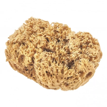 Губка натуральная для декоративных покрытий Matrix 86817 купить в Челябинске