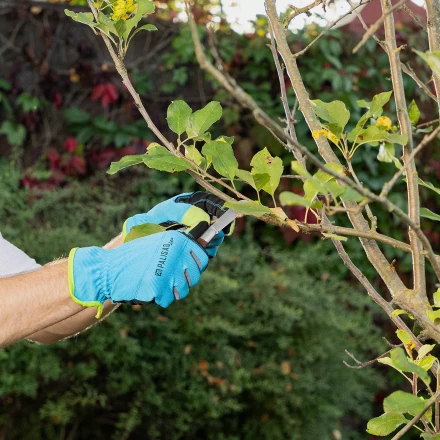 Нож садовый складной Palisad, прямое лезвие, 173 мм, деревянная рукоятка, 790038 купить в Челябинске
