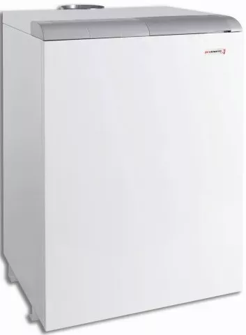Котел Protherm 40 TLO купить в Челябинске