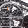 Компрессор масляный поршневой ременной PATRIOT PTR100/670 купить в Челябинске