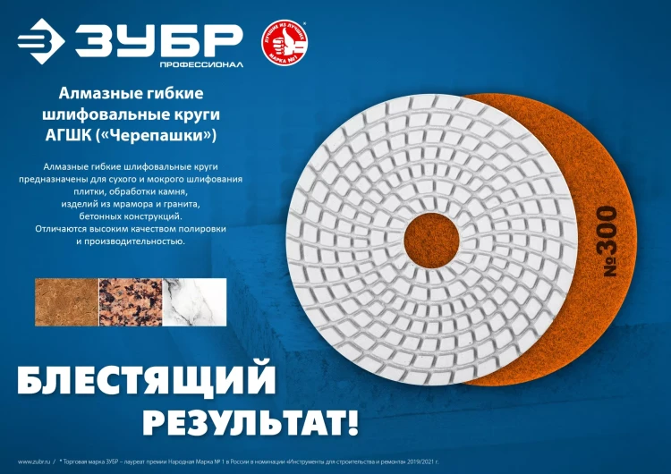 ЗУБР 100 мм, №100, мокрое шлифование, алмазный гибкий шлифовальный круг АГШК, Профессионал (29866-100) купить в Челябинске