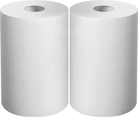 ЗУБР 20 х 25 см, 2-х слойная, в рулоне, 400 листов, 2 рулона, протирочная бумага, Профессионал (12822-20) купить в Челябинске