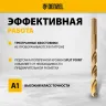 Набор сверл по металлу Denzel 723008, 1-10 мм, Р6М5К8-TiN, Golden Tip, 19 шт купить в Челябинске